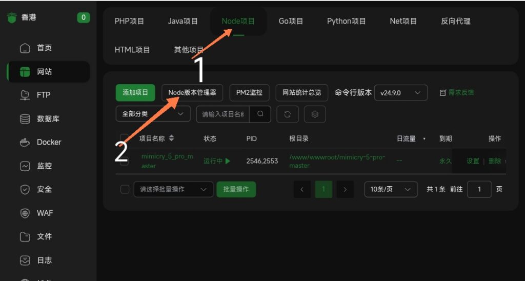 图片[1]-如何用宝塔面板搭建小枫拟态UI5.0Pro-龙域极客