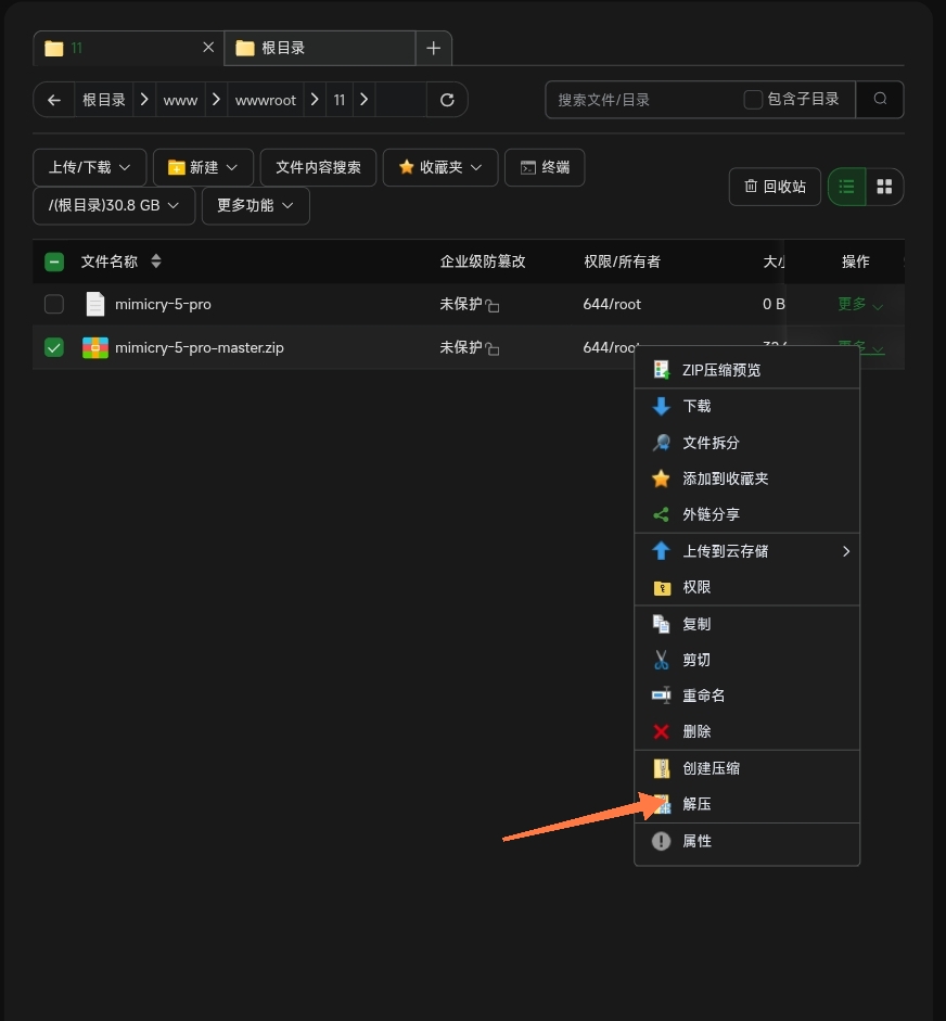 图片[8]-如何用宝塔面板搭建小枫拟态UI5.0Pro-龙域极客