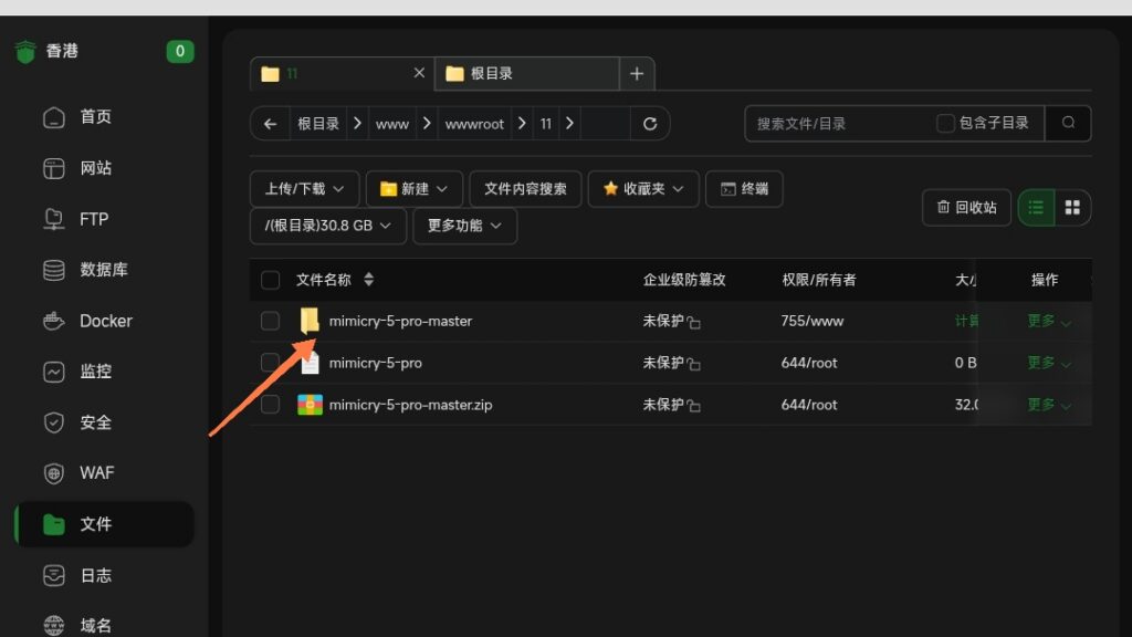 图片[10]-如何用宝塔面板搭建小枫拟态UI5.0Pro-龙域极客