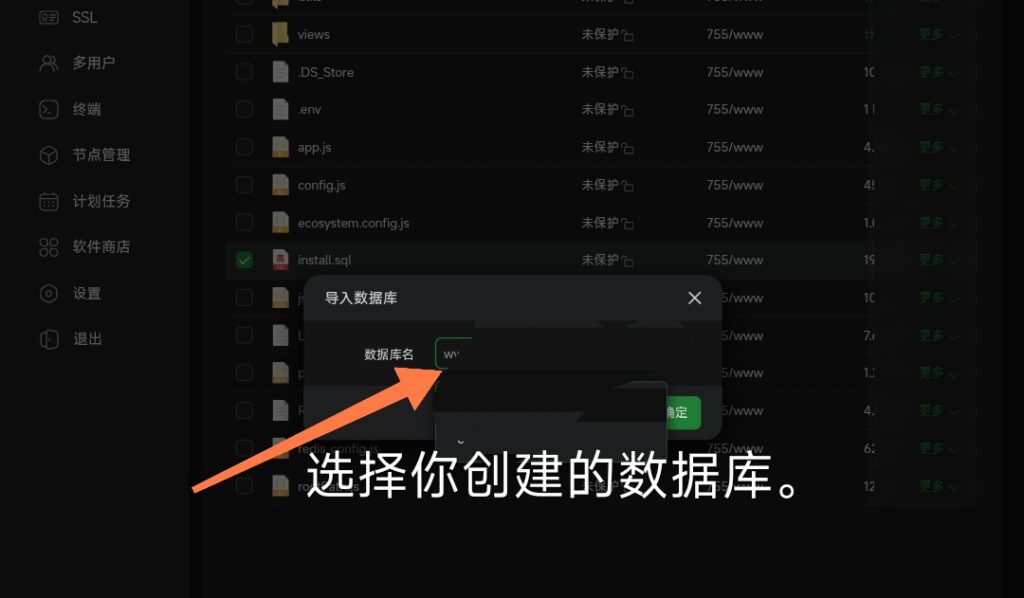 图片[13]-如何用宝塔面板搭建小枫拟态UI5.0Pro-龙域极客