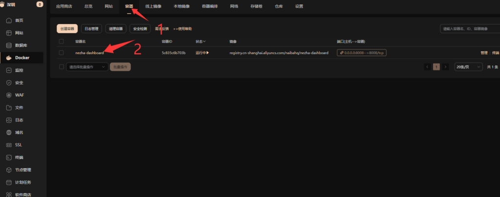 图片[7]-教你使用宝塔面板 安装哪吒探针V1-龙域极客