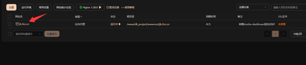 图片[9]-教你使用宝塔面板 安装哪吒探针V1-龙域极客